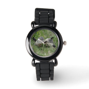 Marmot watches