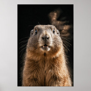 Marmot Wild Animal Elegant Dramatic Mist Portrait Poster
