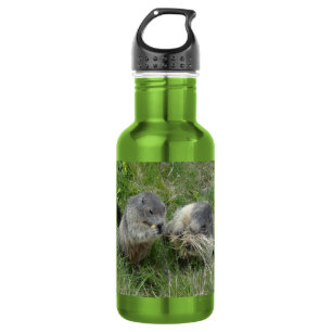 Marmots 532 Ml Water Bottle