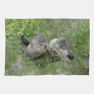 Marmots kitchen towel