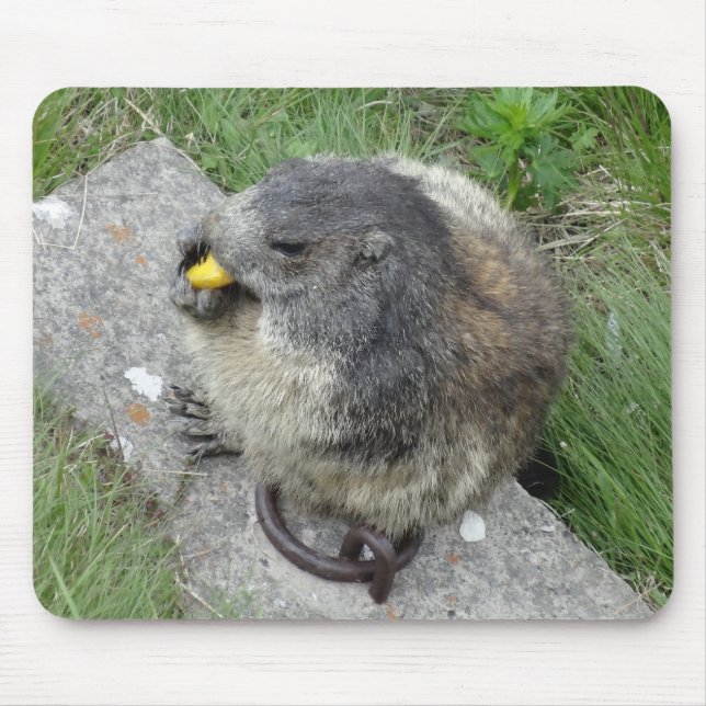 Marmots mousepad (Front)