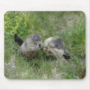 Marmots mousepad
