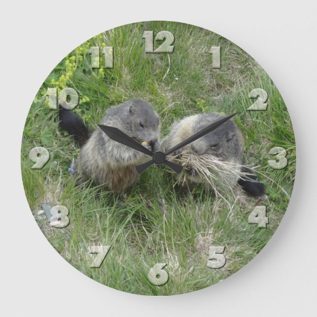 Marmots wall clock (Front)
