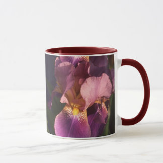 Maroon and Pink Bearded Dutch Iris Mug