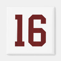 Maroon And White Number 16 Jersey Player Uniform #