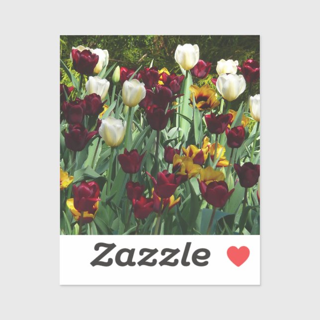 Maroon and Yellow Tulips Colourful Floral (Sheet)