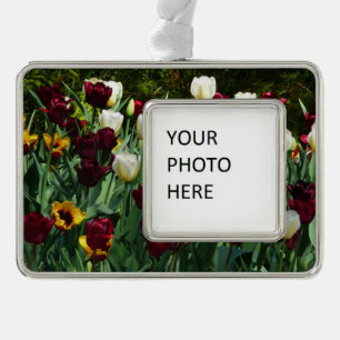 Maroon and Yellow Tulips Colourful Floral Silver Plated Framed Ornament