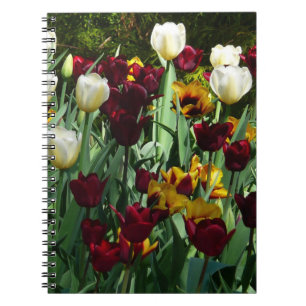 Maroon and Yellow Tulips Colourful Floral Spiral Notebook