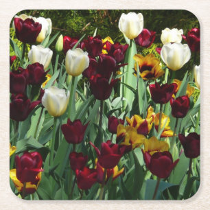 Maroon and Yellow Tulips Colourful Floral Square Paper Coaster