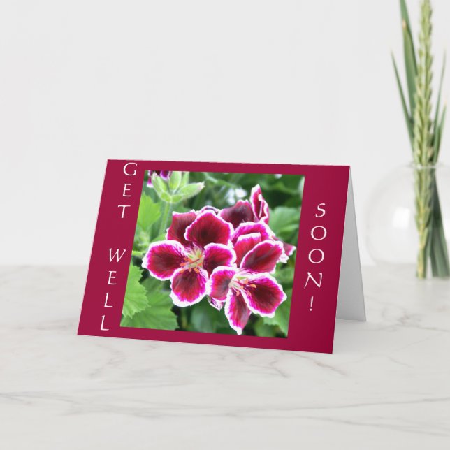 Maroon Beauty, GET WELL, SOON! Card (Front)