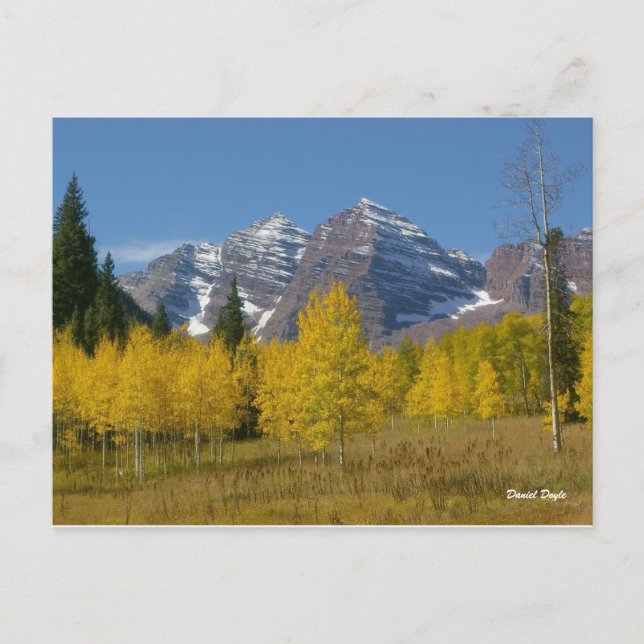 Maroon Bells Series #4, Autumn Reflection. Postcard (Front)