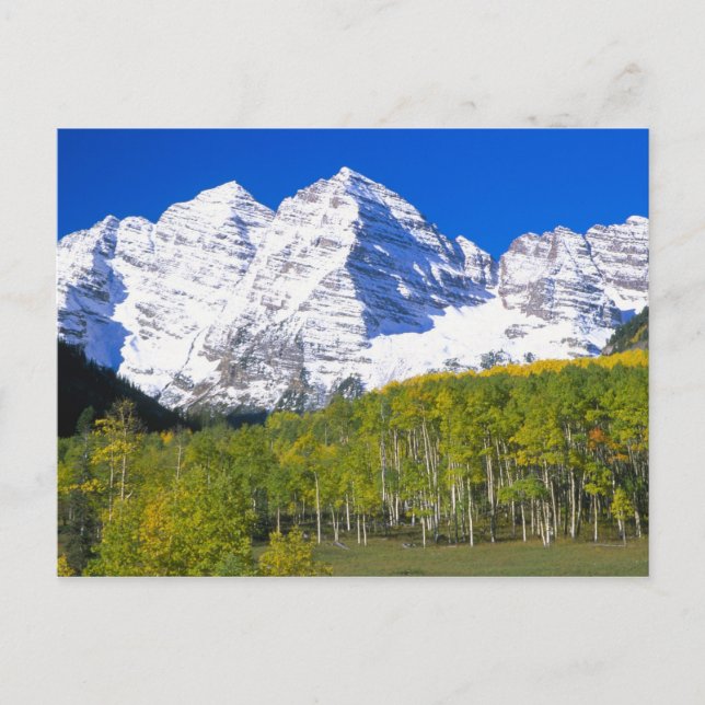 Maroon Bells with autumn aspen forest. Postcard (Front)