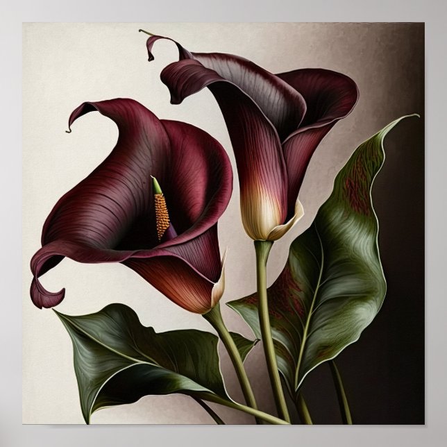 Maroon Calla Lilies Lily Flower Art Print Poster (Front)