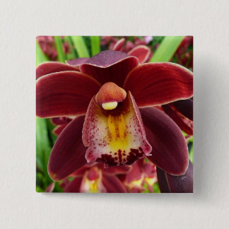 Maroon Orchids I Beautiful Red Floral 15 Cm Square Badge