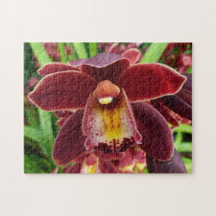 Maroon Orchids I Beautiful Red Floral Jigsaw Puzzle