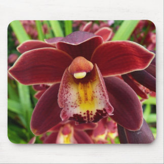Maroon Orchids I Beautiful Red Floral Mouse Pad