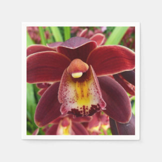 Maroon Orchids I Beautiful Red Floral Napkin