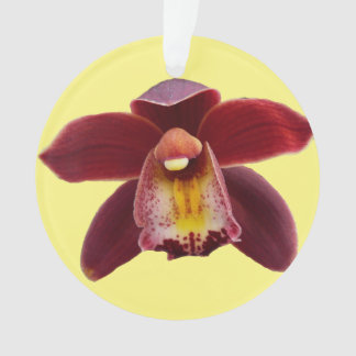 Maroon Orchids I Beautiful Red Floral Ornament