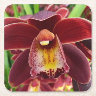 Maroon Orchids I Beautiful Red Floral Square Paper Coaster