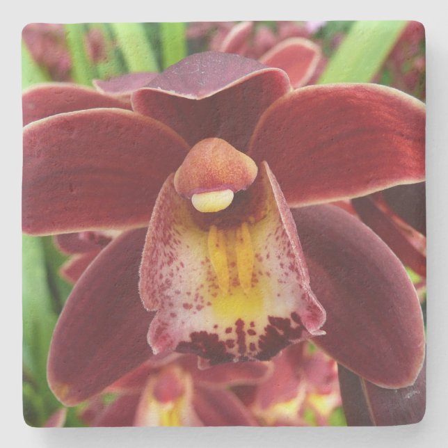 Maroon Orchids I Beautiful Red Floral Stone Coaster (Front)