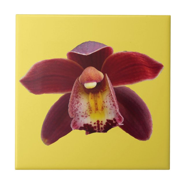 Maroon Orchids I Beautiful Red Floral Tile (Front)