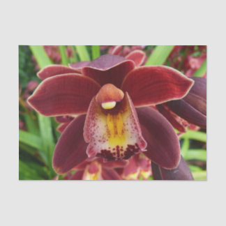 Maroon Orchids I Beautiful Red Floral Tissue Paper