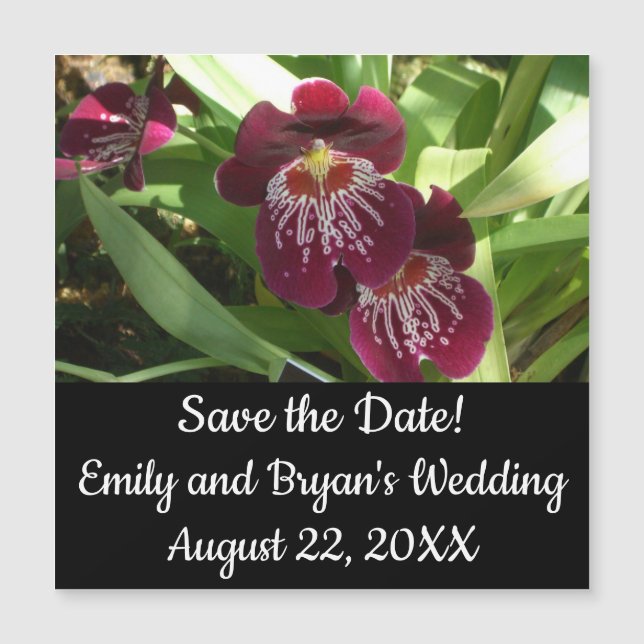 Maroon Orchids II Elegant Floral (Front)