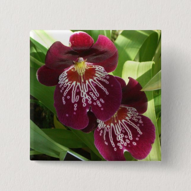 Maroon Orchids II Elegant Floral 15 Cm Square Badge (Front)