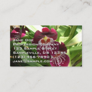 Maroon Orchids II Elegant Floral Business Card