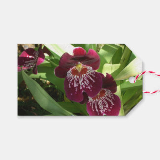 Maroon Orchids II Elegant Floral Gift Tags