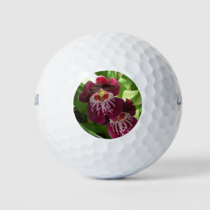 Maroon Orchids II Elegant Floral Golf Balls