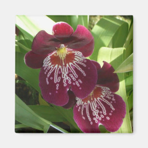 Maroon Orchids II Elegant Floral Magnet