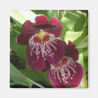 Maroon Orchids II Elegant Floral Magnet