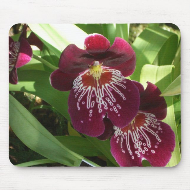 Maroon Orchids II Elegant Floral Mouse Pad (Front)