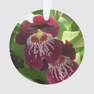 Maroon Orchids II Elegant Floral Ornament
