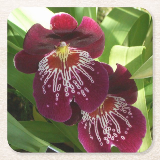 Maroon Orchids II Elegant Floral Square Paper Coaster (Front)