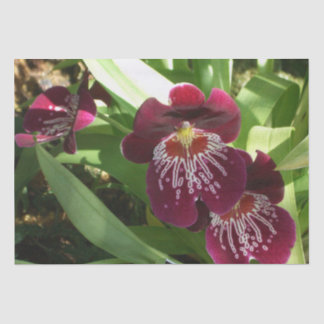 Maroon Orchids II Elegant Floral Tissue Paper