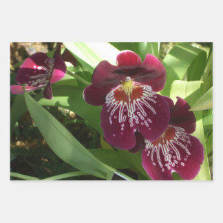 Maroon Orchids II Elegant Floral Wrapping Paper Sheet