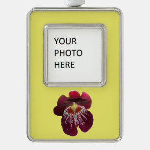 Maroon Orchids II Silver Plated Framed Ornament
