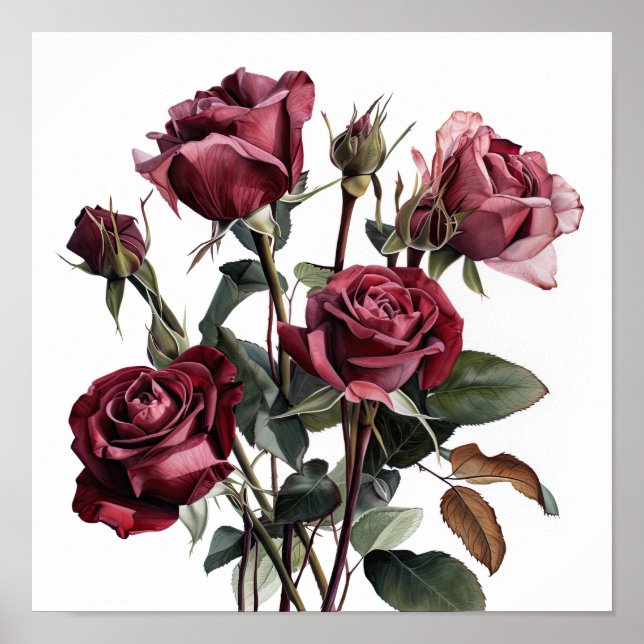 Maroon Roses Flower Art Print Poster (Front)