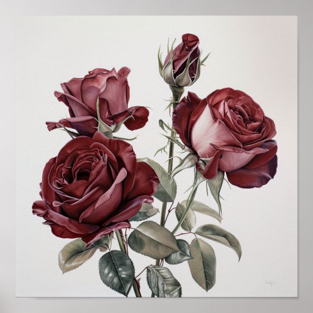 Maroon Roses Flower Art Print Poster (Front)