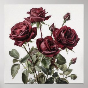 Maroon Roses Flower Art Print Poster