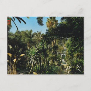 Marrakesh, Majorelle Gardens, Morocco Postcard
