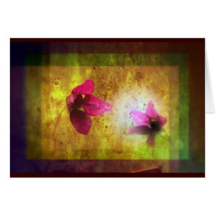 marriage of Titania; Salmon berry floral duet