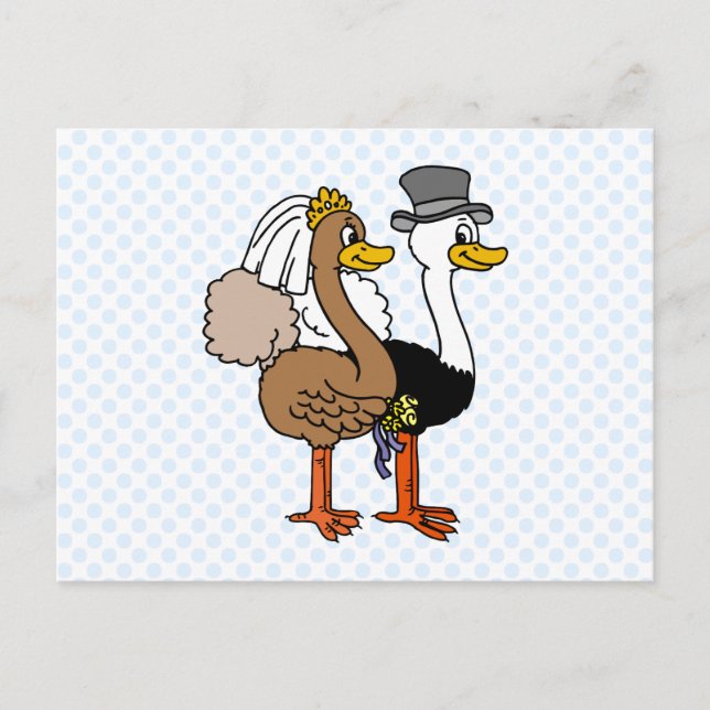 Married Ostrichs Postcard (Front)