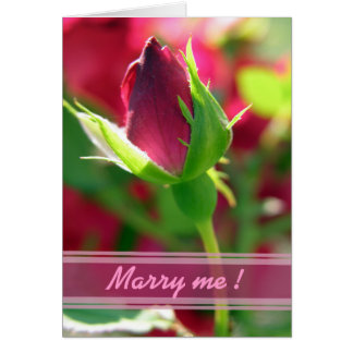 Marry me red rose bud