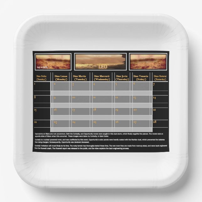 Mars Dust Storm Paper Plate (Front)