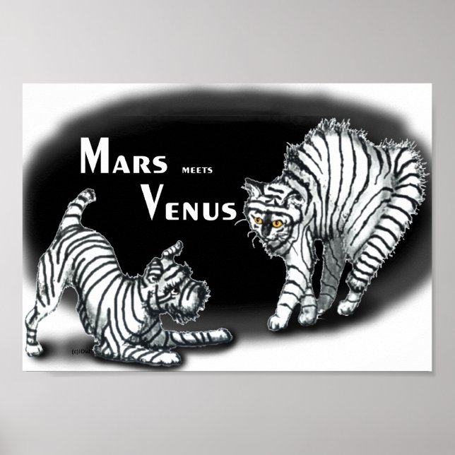 Mars meets Venus Poster (Front)