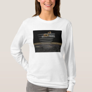 Mars Reconnaissance Orbiter's Radar at Work T-Shirt