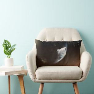 Mars Science Laboratory Aeroshell Capsule 2 Lumbar Cushion